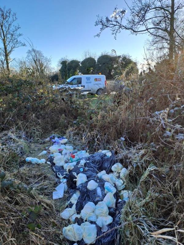 Westmeath County Council enviro<em></em>nment officials have launched an investigation into the incident.