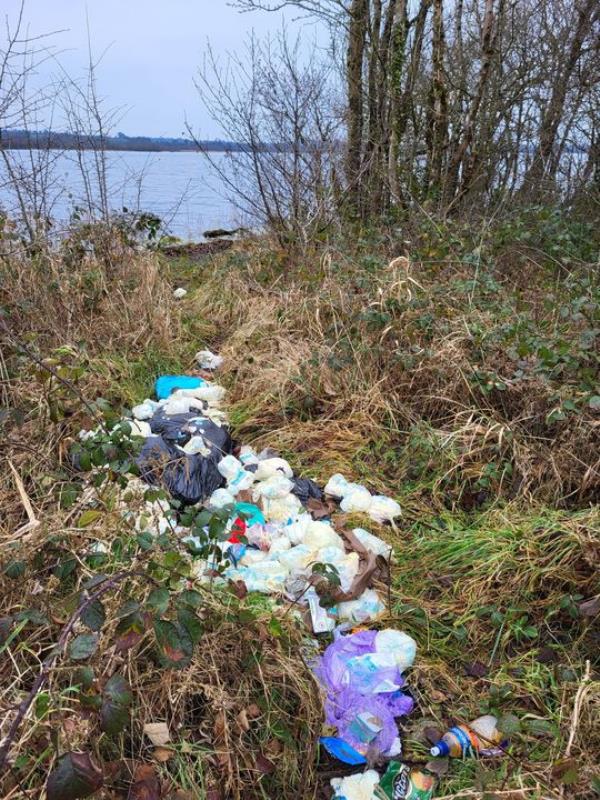 All of the nappies retrieved by council staff were found within yards of a popular picnic area.