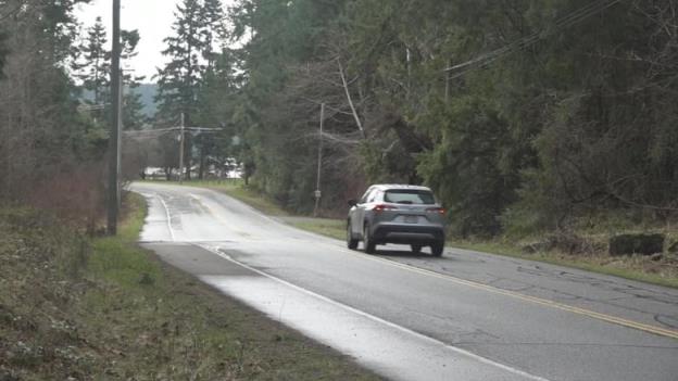 A car drives on a tree-lined street.