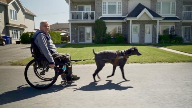 man in wheelchair with dog.