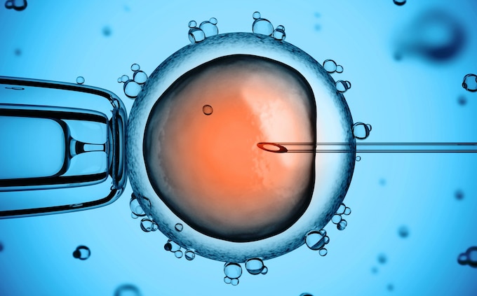 The number of patients undergoing fertility treatment has risen ninefold since 1991