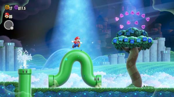 Wo<em></em>nder Flowers alter the world and crank up the imagination for each level in 'Super Mario Bros. Wonder.'