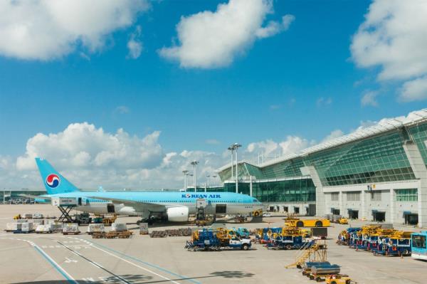 The 26-year-old woman was arrested by the Incheon Internatio<em></em>nal Airport Police Corps after trying to yank open the door of the Korean Air flight traveling to Incheon